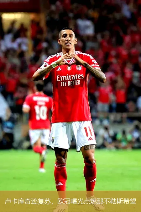 11月29日,卢卡库奇迹复苏，欧冠曙光点燃那不勒斯希望
